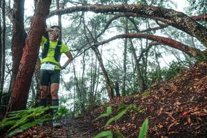 BIB: 
                            <button type="button" onclick="openModal(26344045)" class="btn btn-primary btn-sm float-right btn-popup" data-toggle="modal" data-target=".modal-high-quality">
                        <i class="fas fa-shopping-cart"></i> Add to Cart
                    </button>
                                            <button type="button" onclick="isThisMe(26344045, true)" class="btn btn-success btn-sm float-right btn-popup btn-isme hidden" data-toggle="tooltip" data-placement="bottom" title="นี่คือรูปของคุณใช่ไหม คลิกที่นี่เพื่อเอาเข้าอัลบั้ม">
                        <i class="fas fa-plus"></i> Add to album
                    </button>
                    <button type="button" onclick="isThisMe(26344045, false)" class="btn btn-warning btn-sm float-right btn-popup btn-isnotme hidden">
                        <i class="fas fa-ban"></i> Remove from album
                    </button>